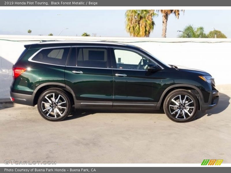  2019 Pilot Touring Black Forest Metallic