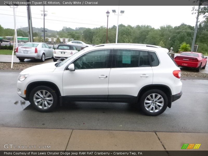 Candy White / Charcoal 2010 Volkswagen Tiguan SE 4Motion