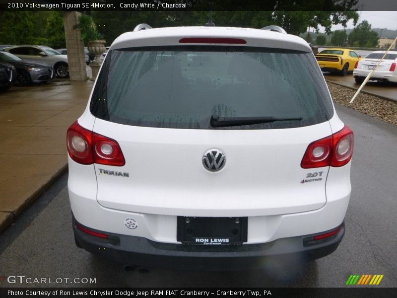 Candy White / Charcoal 2010 Volkswagen Tiguan SE 4Motion