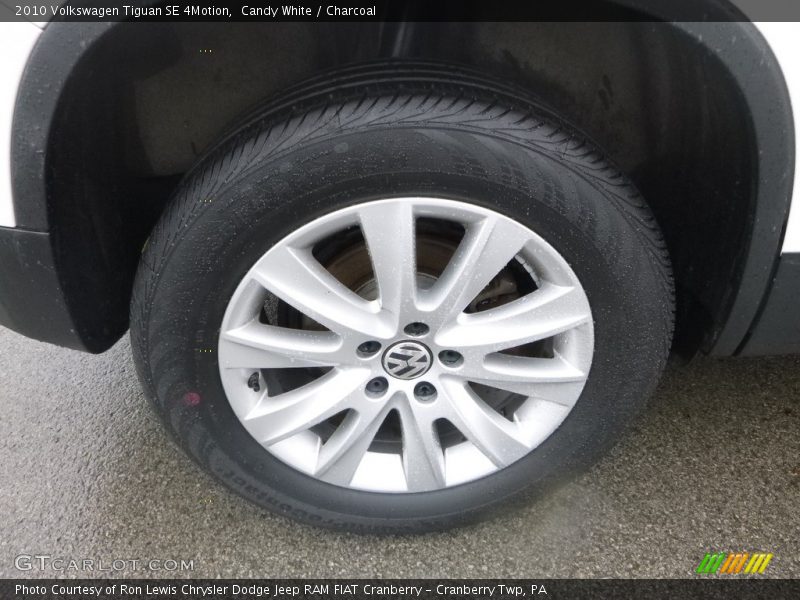 Candy White / Charcoal 2010 Volkswagen Tiguan SE 4Motion