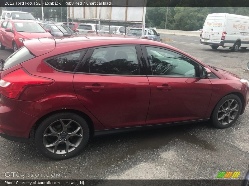 Ruby Red / Charcoal Black 2013 Ford Focus SE Hatchback