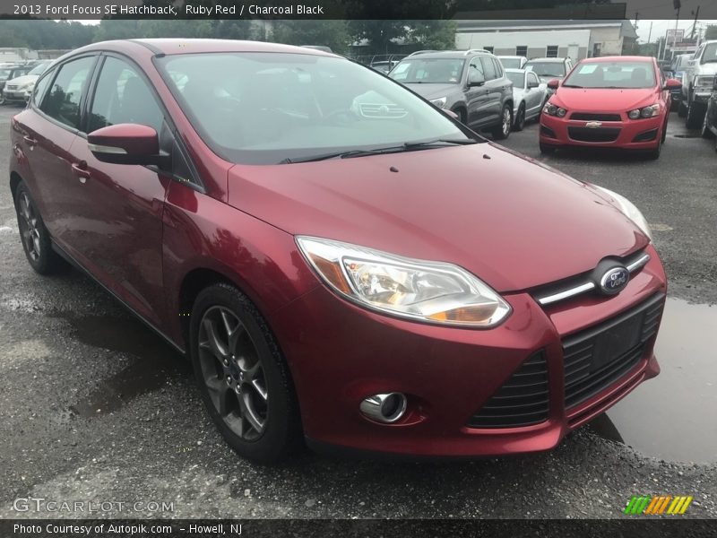Ruby Red / Charcoal Black 2013 Ford Focus SE Hatchback