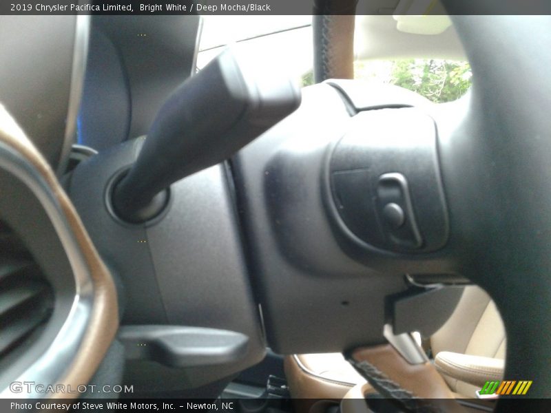 Bright White / Deep Mocha/Black 2019 Chrysler Pacifica Limited