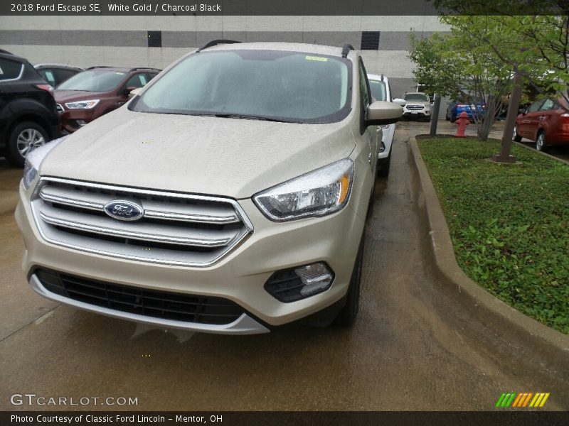 White Gold / Charcoal Black 2018 Ford Escape SE