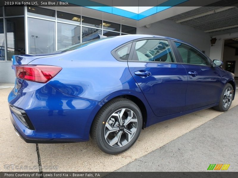 Sea Blue / Black 2019 Kia Forte LXS