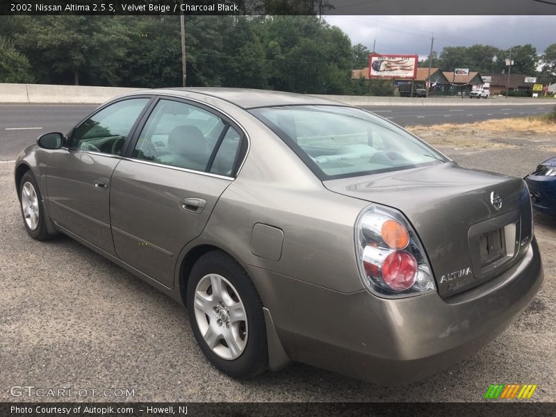 Velvet Beige / Charcoal Black 2002 Nissan Altima 2.5 S