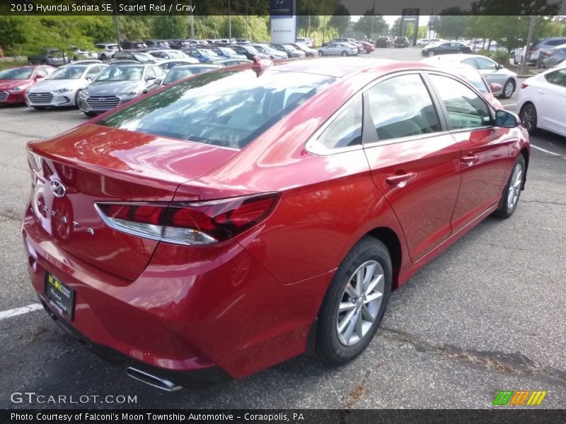Scarlet Red / Gray 2019 Hyundai Sonata SE
