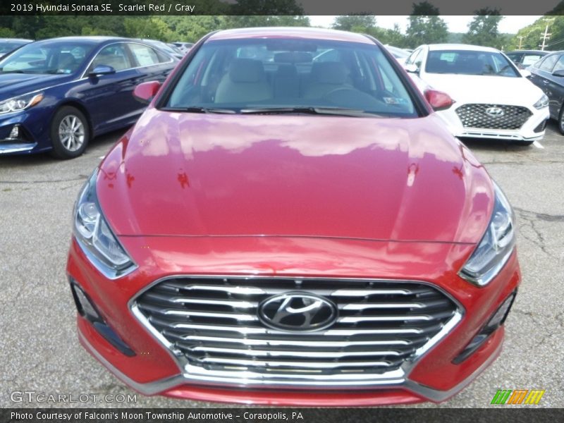 Scarlet Red / Gray 2019 Hyundai Sonata SE