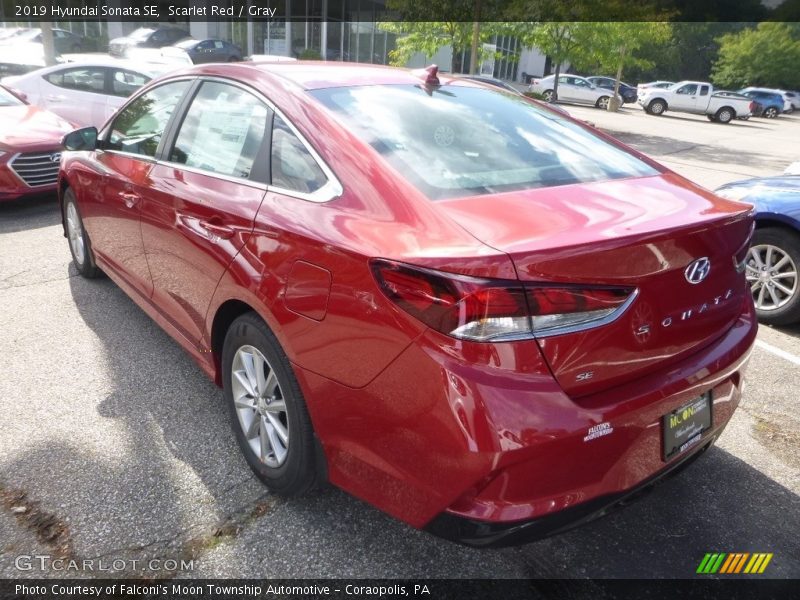 Scarlet Red / Gray 2019 Hyundai Sonata SE