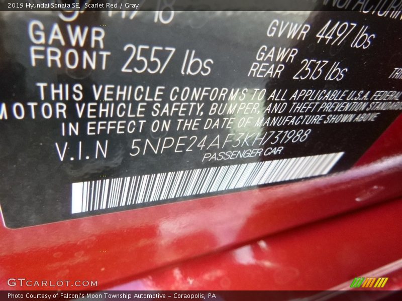 Scarlet Red / Gray 2019 Hyundai Sonata SE