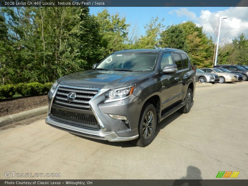 Nebula Gray Pearl / Sepia 2018 Lexus GX 460 Luxury