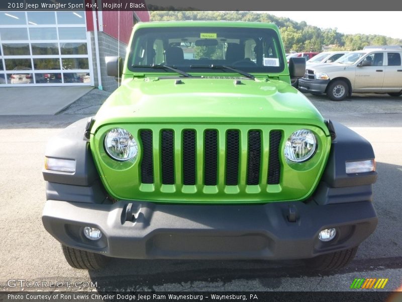 Mojito! / Black 2018 Jeep Wrangler Sport 4x4