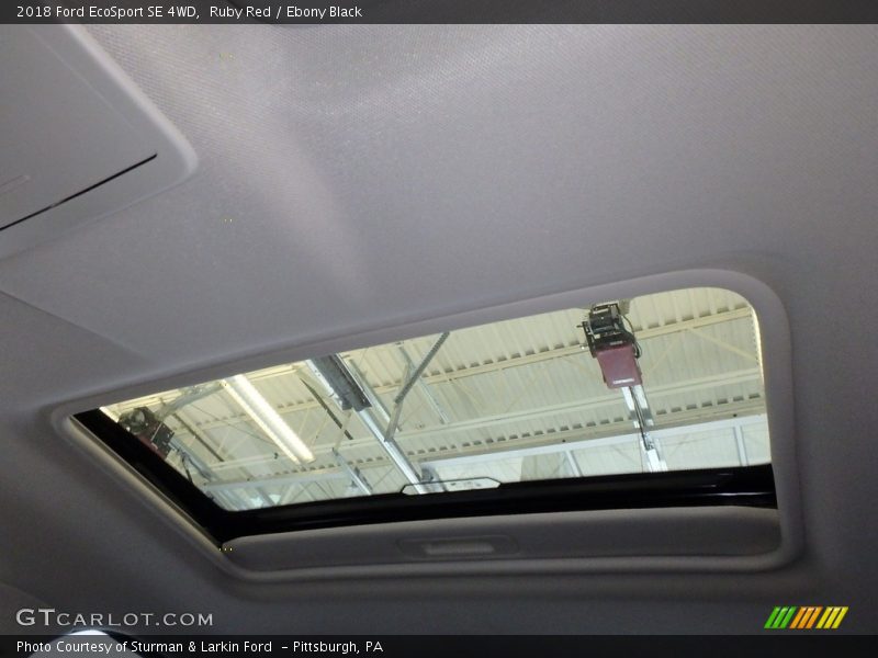 Ruby Red / Ebony Black 2018 Ford EcoSport SE 4WD