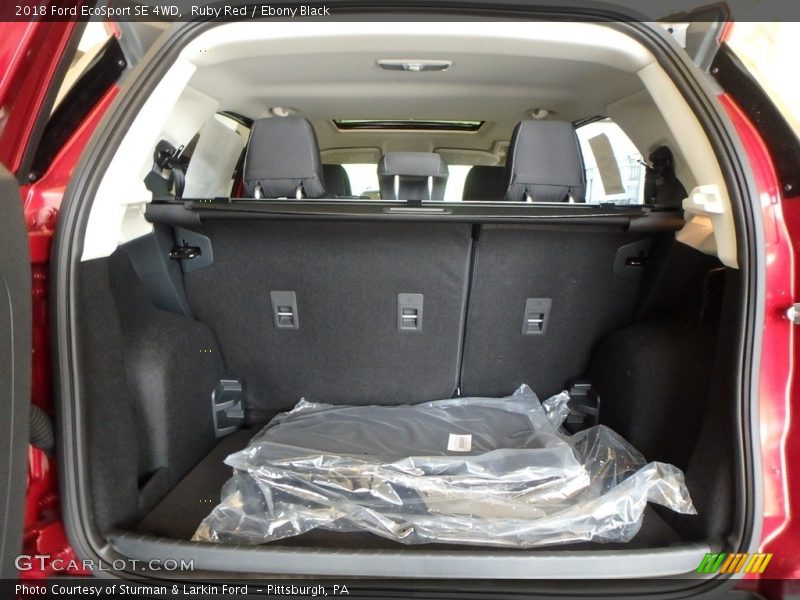 Ruby Red / Ebony Black 2018 Ford EcoSport SE 4WD