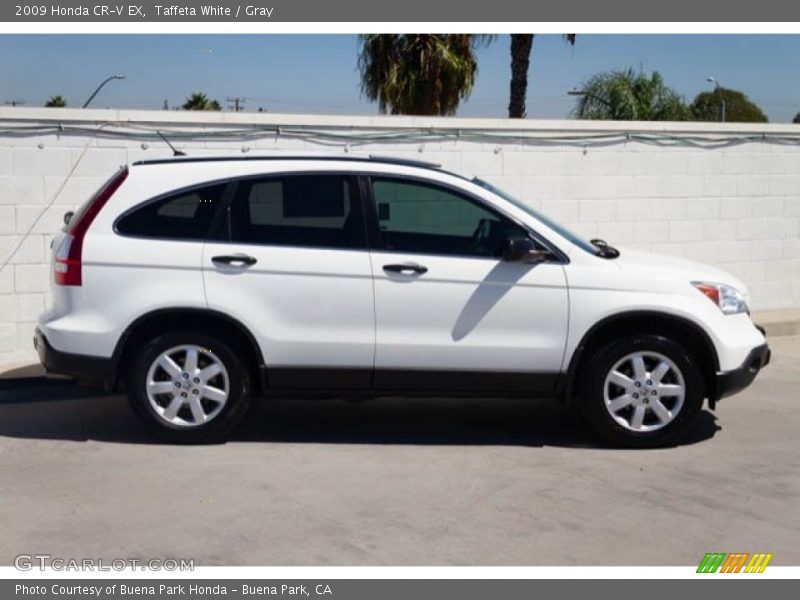 Taffeta White / Gray 2009 Honda CR-V EX