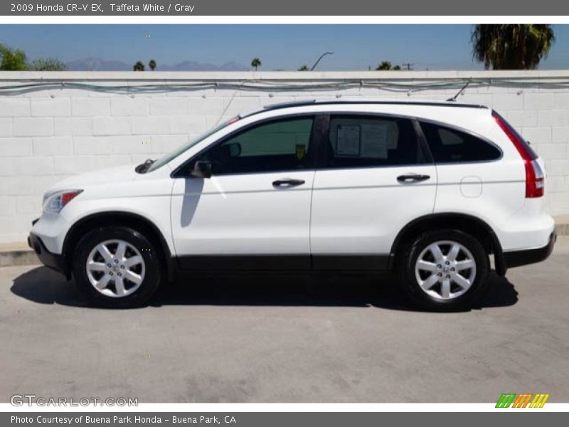 Taffeta White / Gray 2009 Honda CR-V EX