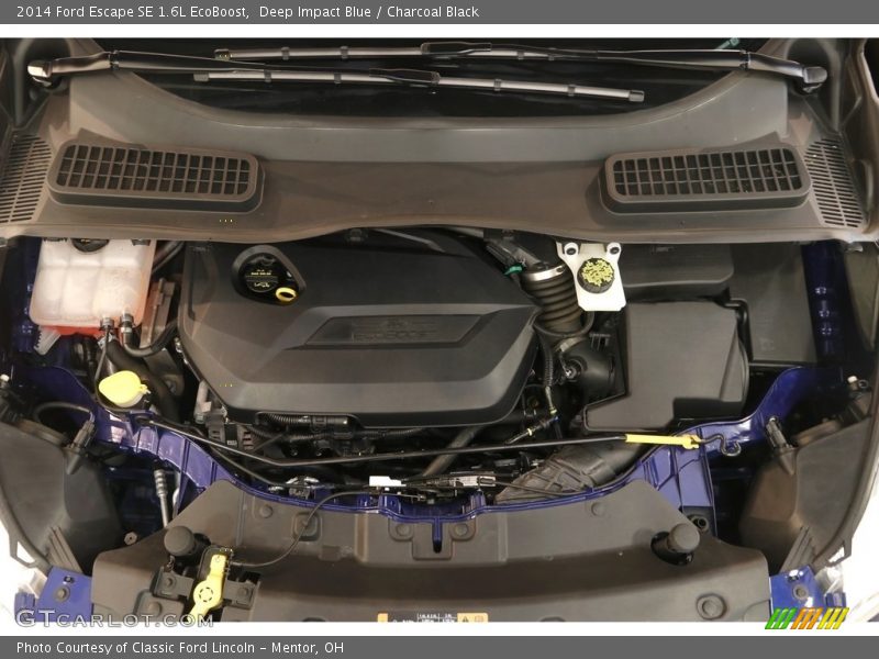 Deep Impact Blue / Charcoal Black 2014 Ford Escape SE 1.6L EcoBoost