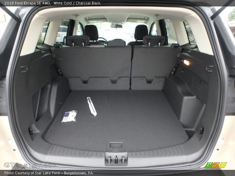 White Gold / Charcoal Black 2018 Ford Escape SE 4WD