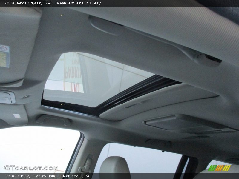 Ocean Mist Metallic / Gray 2009 Honda Odyssey EX-L