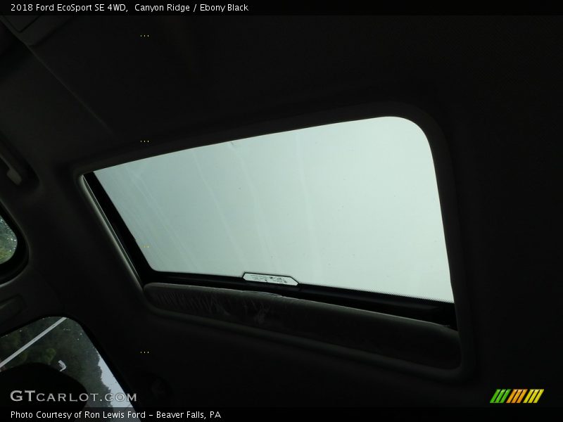 Canyon Ridge / Ebony Black 2018 Ford EcoSport SE 4WD