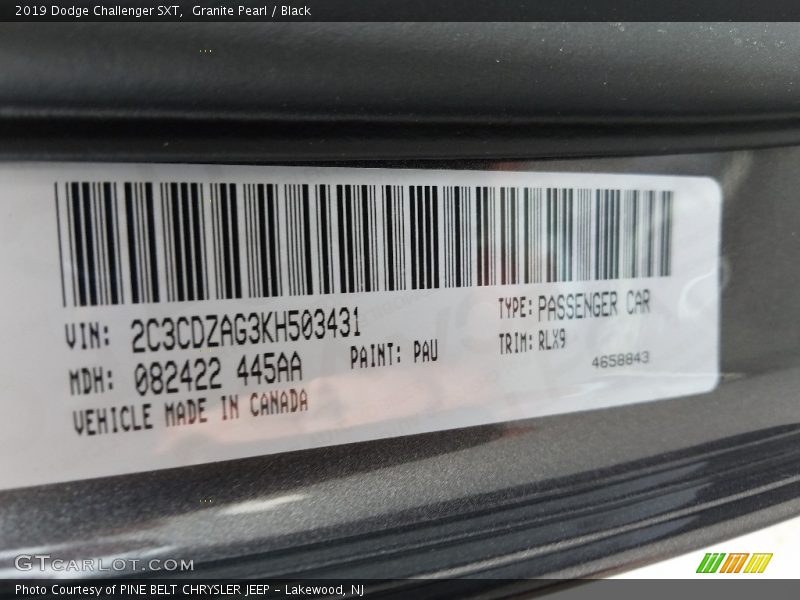2019 Challenger SXT Granite Pearl Color Code PAU