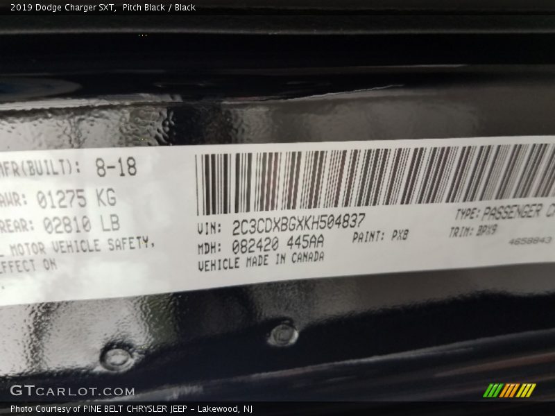 2019 Charger SXT Pitch Black Color Code PX8