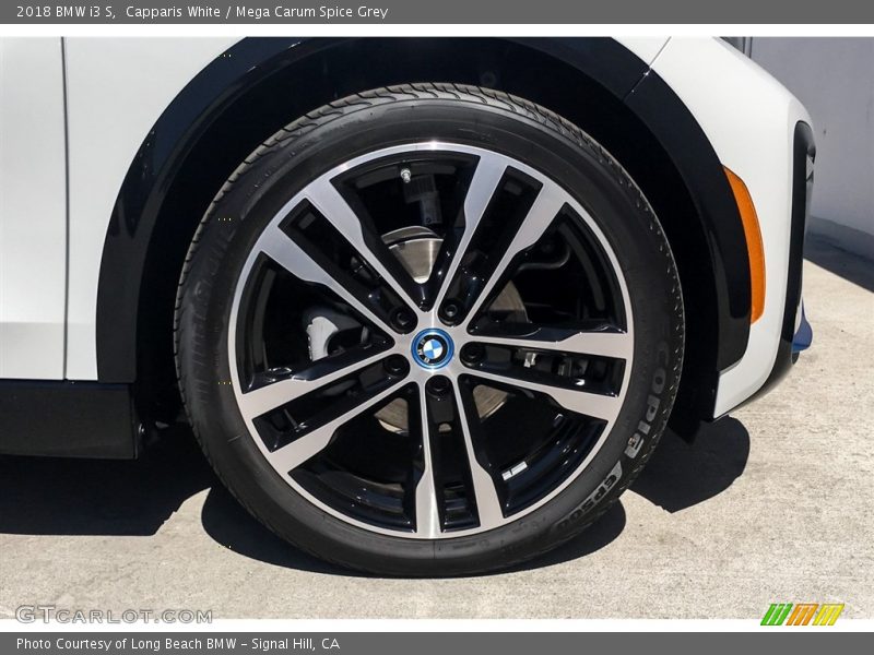 Capparis White / Mega Carum Spice Grey 2018 BMW i3 S