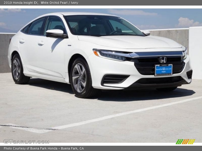 White Orchid Pearl / Ivory 2019 Honda Insight EX