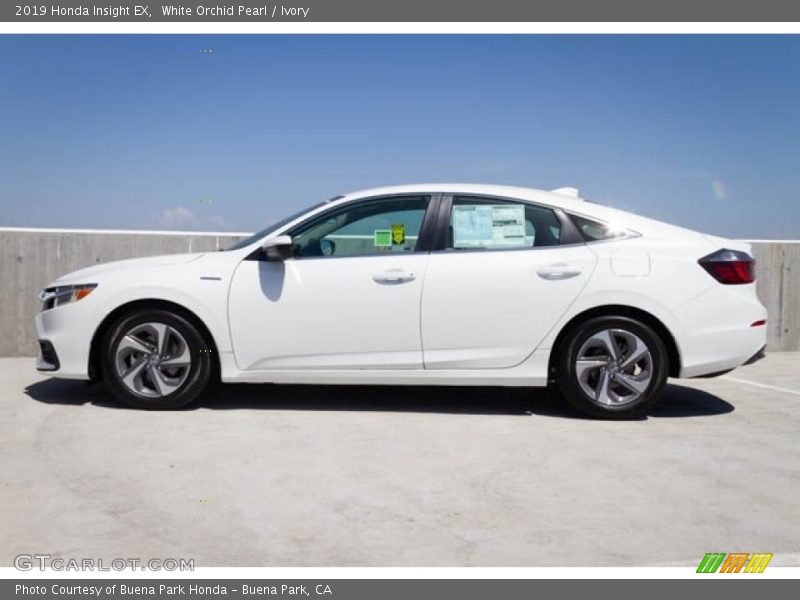 White Orchid Pearl / Ivory 2019 Honda Insight EX