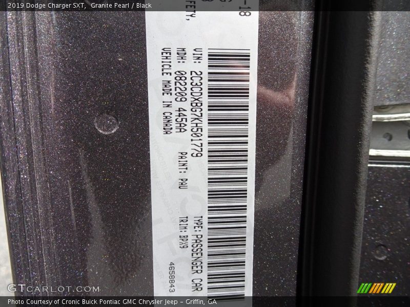2019 Charger SXT Granite Pearl Color Code PAU