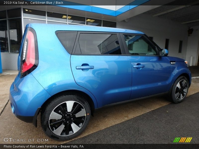 Caribbean Blue / Black 2019 Kia Soul +