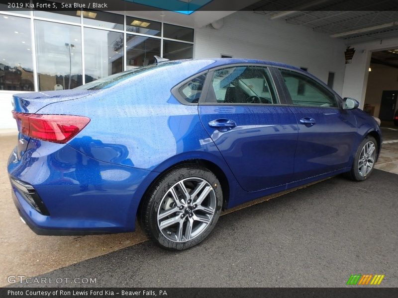 Sea Blue / Black 2019 Kia Forte S