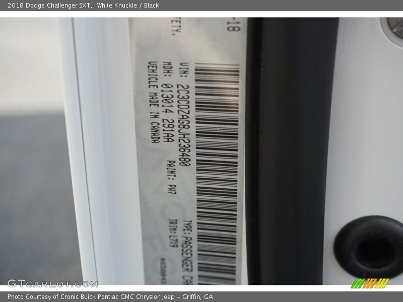 White Knuckle / Black 2018 Dodge Challenger SXT