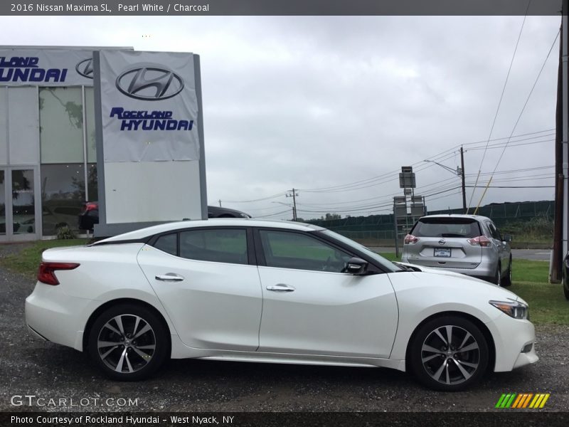 Pearl White / Charcoal 2016 Nissan Maxima SL