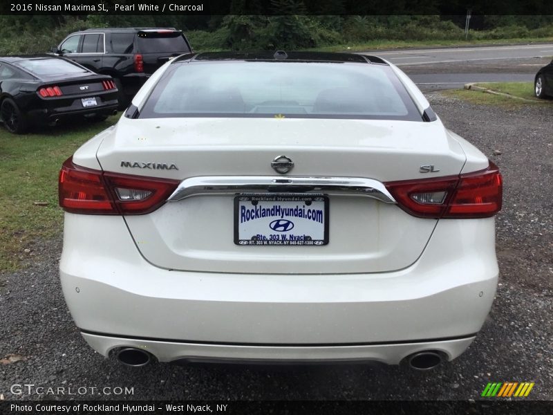 Pearl White / Charcoal 2016 Nissan Maxima SL