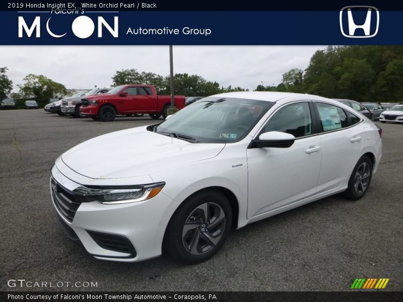 White Orchid Pearl / Black 2019 Honda Insight EX