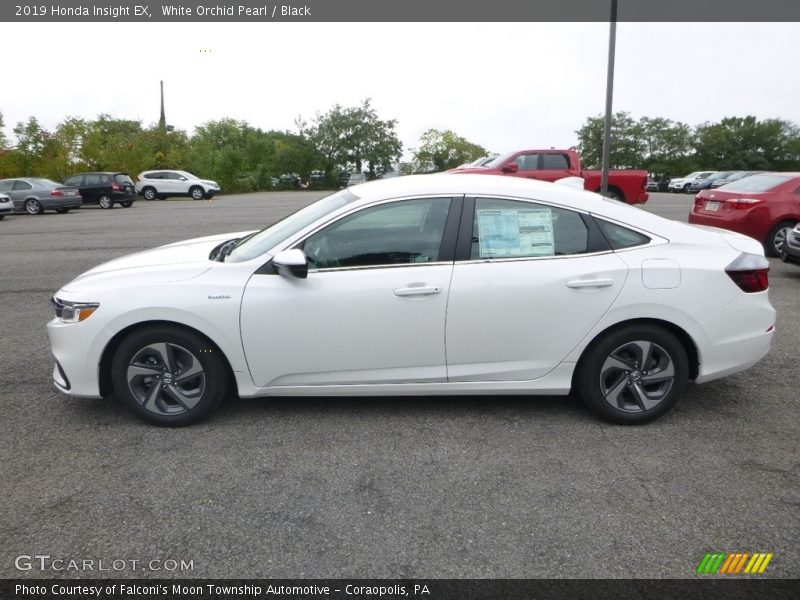 White Orchid Pearl / Black 2019 Honda Insight EX