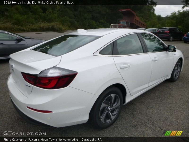 White Orchid Pearl / Black 2019 Honda Insight EX