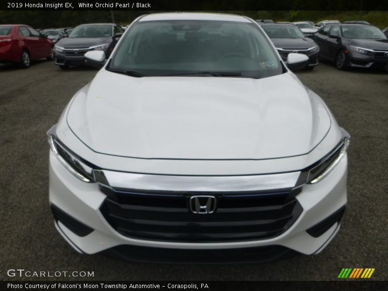 White Orchid Pearl / Black 2019 Honda Insight EX