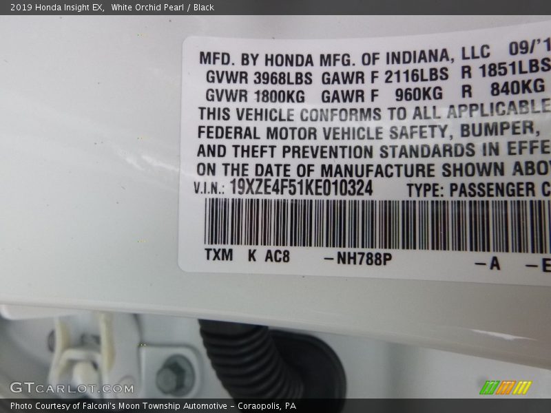 White Orchid Pearl / Black 2019 Honda Insight EX