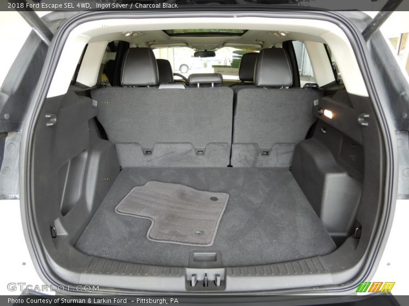 Ingot Silver / Charcoal Black 2018 Ford Escape SEL 4WD