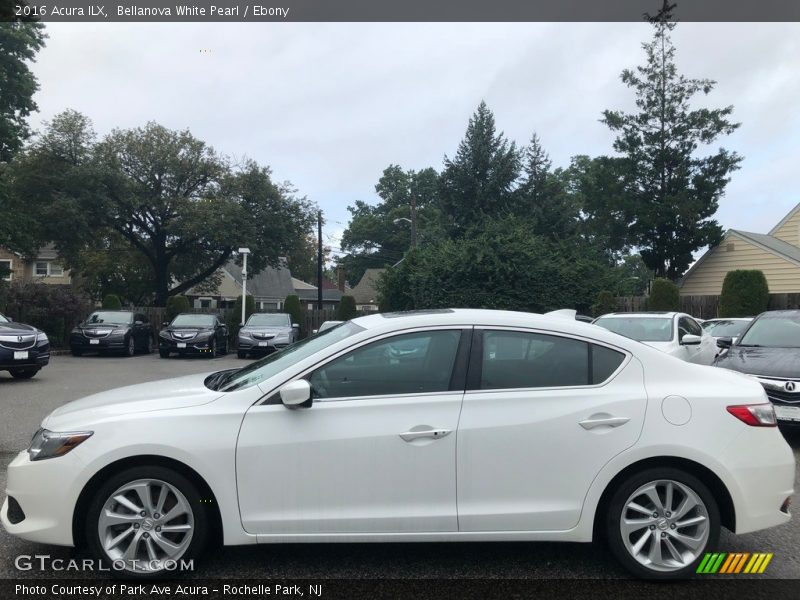 Bellanova White Pearl / Ebony 2016 Acura ILX