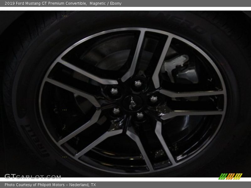 Magnetic / Ebony 2019 Ford Mustang GT Premium Convertible