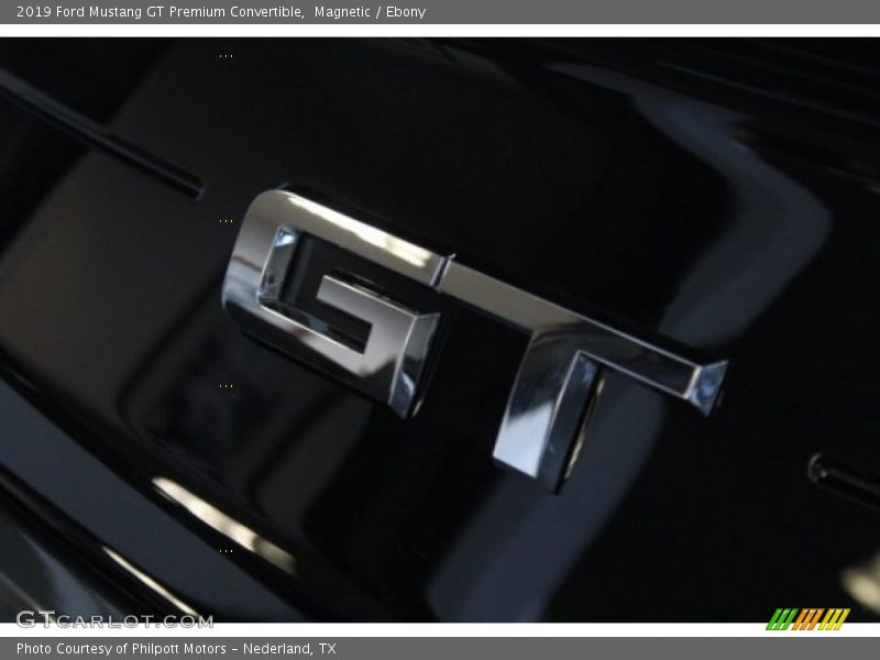 Magnetic / Ebony 2019 Ford Mustang GT Premium Convertible