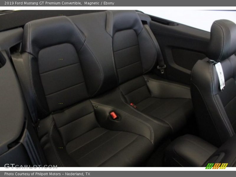 Magnetic / Ebony 2019 Ford Mustang GT Premium Convertible