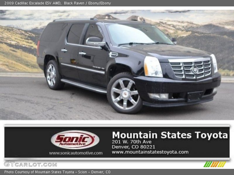 Black Raven / Ebony/Ebony 2009 Cadillac Escalade ESV AWD