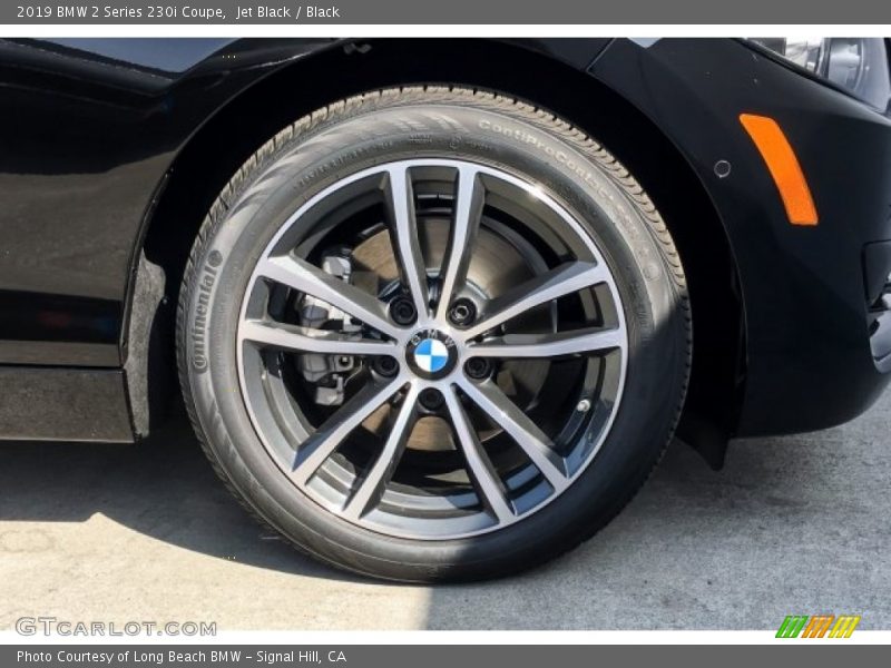 Jet Black / Black 2019 BMW 2 Series 230i Coupe