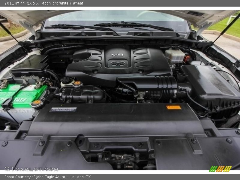 Moonlight White / Wheat 2011 Infiniti QX 56