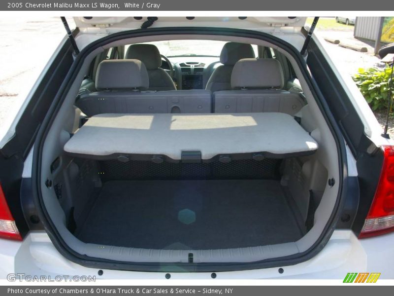 White / Gray 2005 Chevrolet Malibu Maxx LS Wagon
