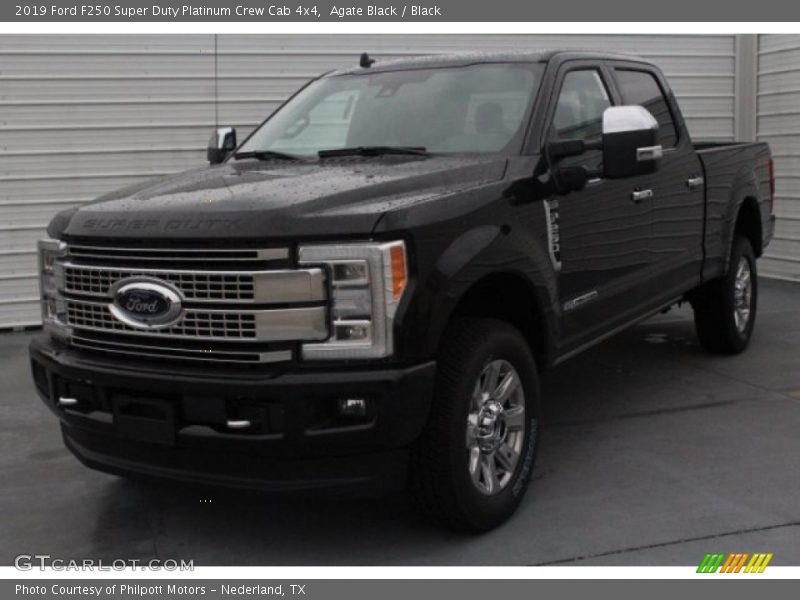Agate Black / Black 2019 Ford F250 Super Duty Platinum Crew Cab 4x4